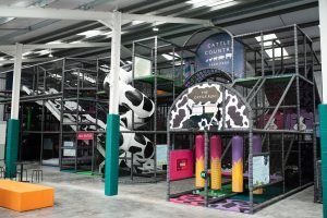 indoor playground at the cattle country
